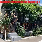 Casa Francisc 3*
