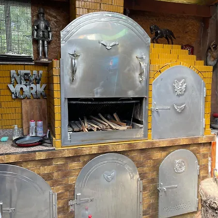 Casa Francisc 4* エフォリエ・ノルド