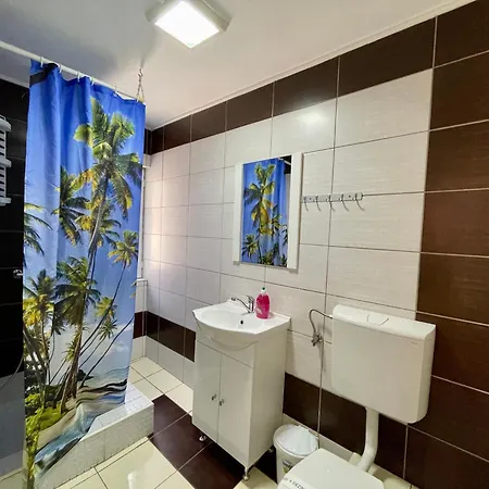 ゲストハウス Casa Francisc 4*