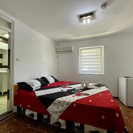 ゲストハウス Casa Francisc エフォリエ・ノルド