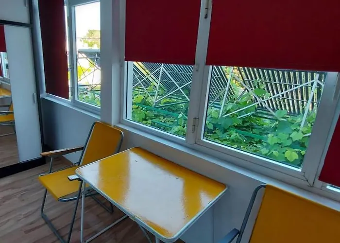 ゲストハウス Casa Francisc エフォリエ・ノルド