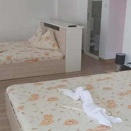 Casa Francisc Guest house *