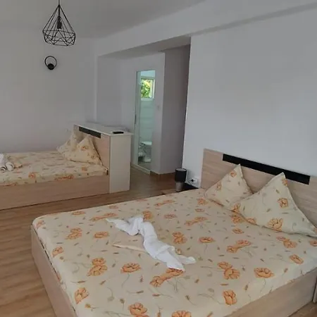 Casa Francisc Guest house Eforie Nord