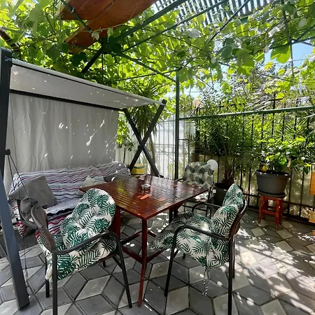 Guest house Casa Francisc 3*