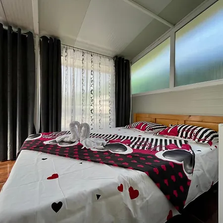 Guest house Casa Francisc